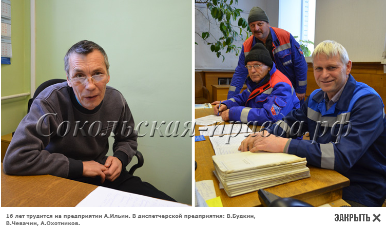 Сокол.png